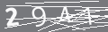 capsa